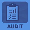 Operations Audit Process